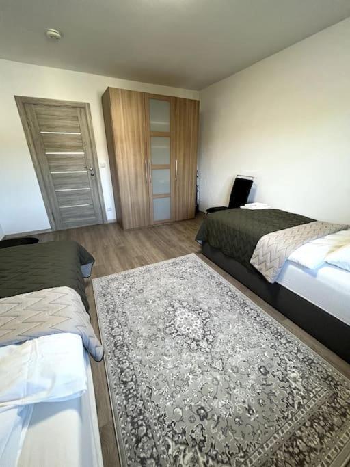 Familienwohnung Naehe Europapark, Messe, Gifiz See Offenburg Ngoại thất bức ảnh